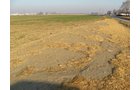 Property photo 21 - 60 Acres Offered in 2 Tracts